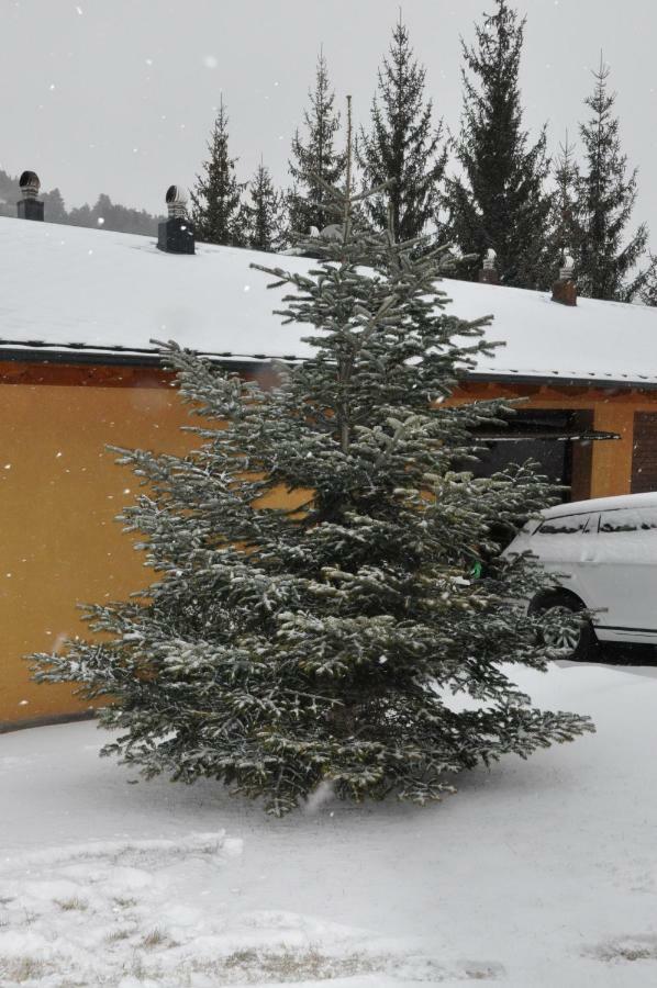 Casa En La Molina Villa La Molina  Dış mekan fotoğraf